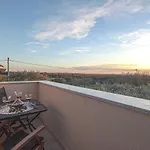 Brcina Pula